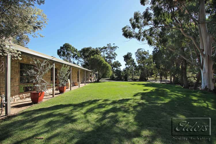 Fifth view of Homely acreageSemiRural listing, 110 Backhaus Road, Axedale VIC 3551