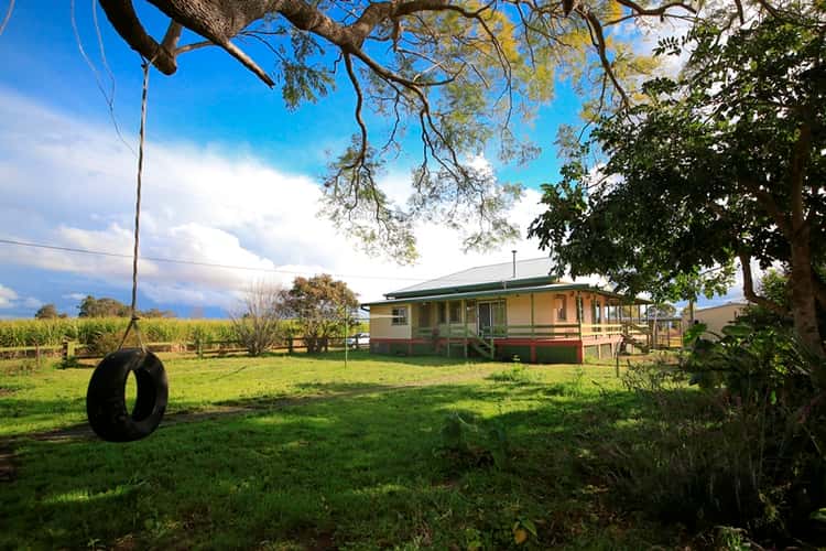 Main view of Homely house listing, 264 South Arm School Road, South Arm NSW 2460
