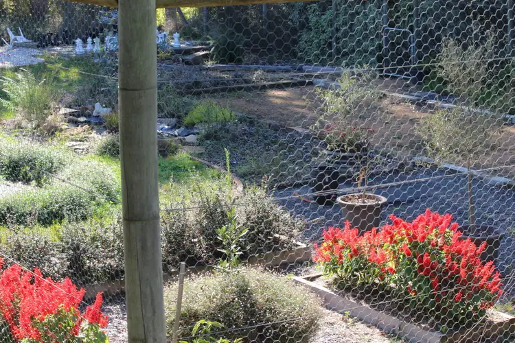 Fourth view of Homely house listing, 8 James Street, Forth TAS 7310