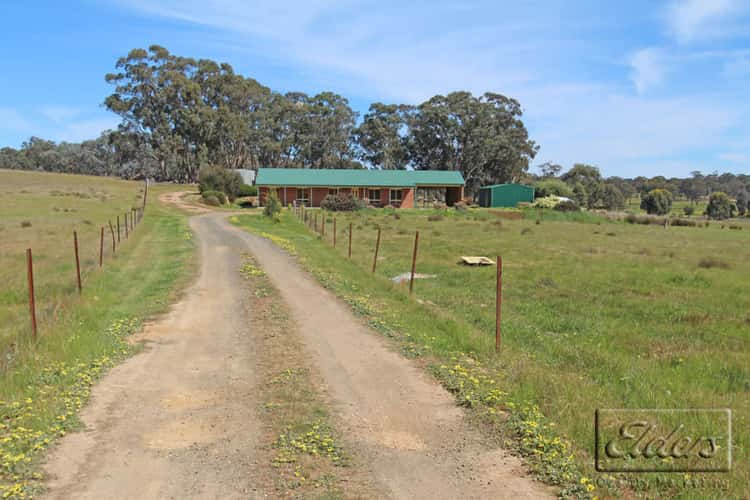 Main view of Homely house listing, 133 Canny Road, Axedale VIC 3551