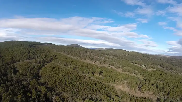 Lot 1/1500 Nugent Road, Nugent TAS 7172
