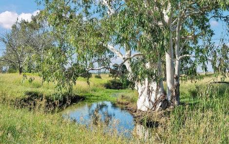 454 CLAUS ROAD, Haigslea QLD 4306