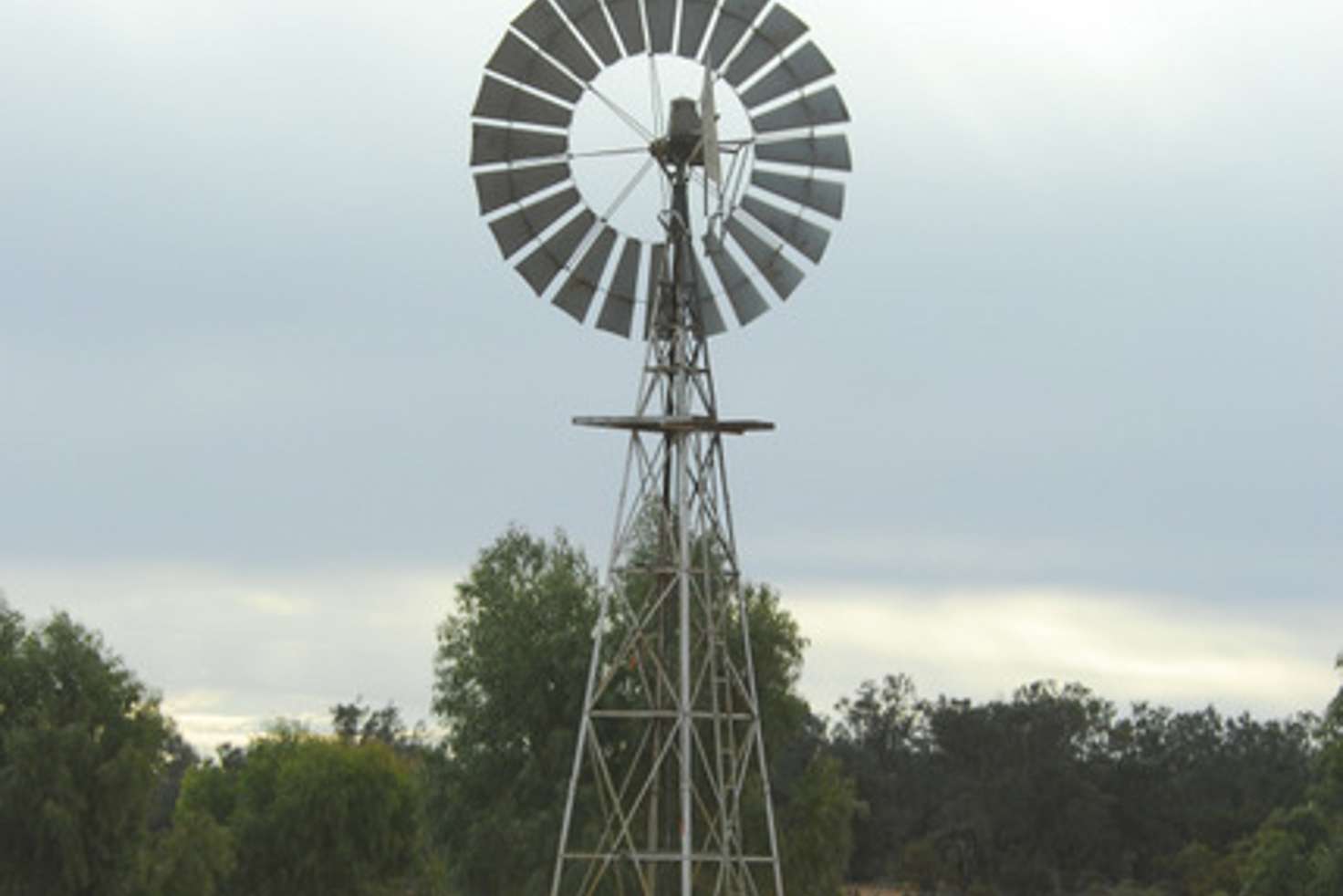 Main view of Homely livestock listing, Address available on request