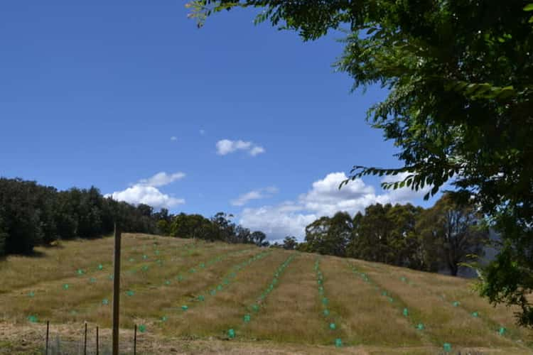 Seventh view of Homely cropping listing, 13 Snowys Track, Benambra VIC 3900