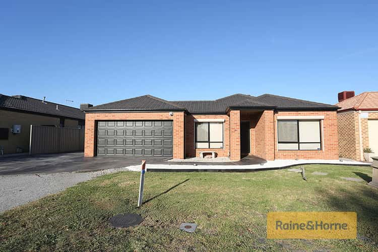 Main view of Homely house listing, 61 Flagstaff Loop, Craigieburn VIC 3064