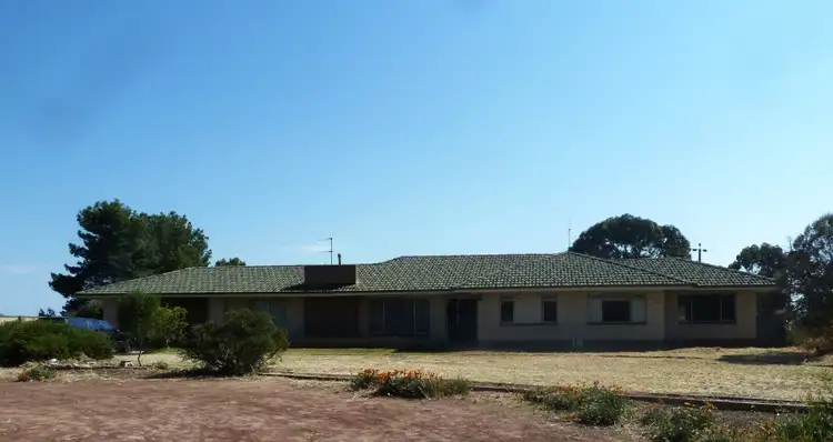 Main view of Homely house listing, 29517 Eyre Highway, Minnipa SA 5654