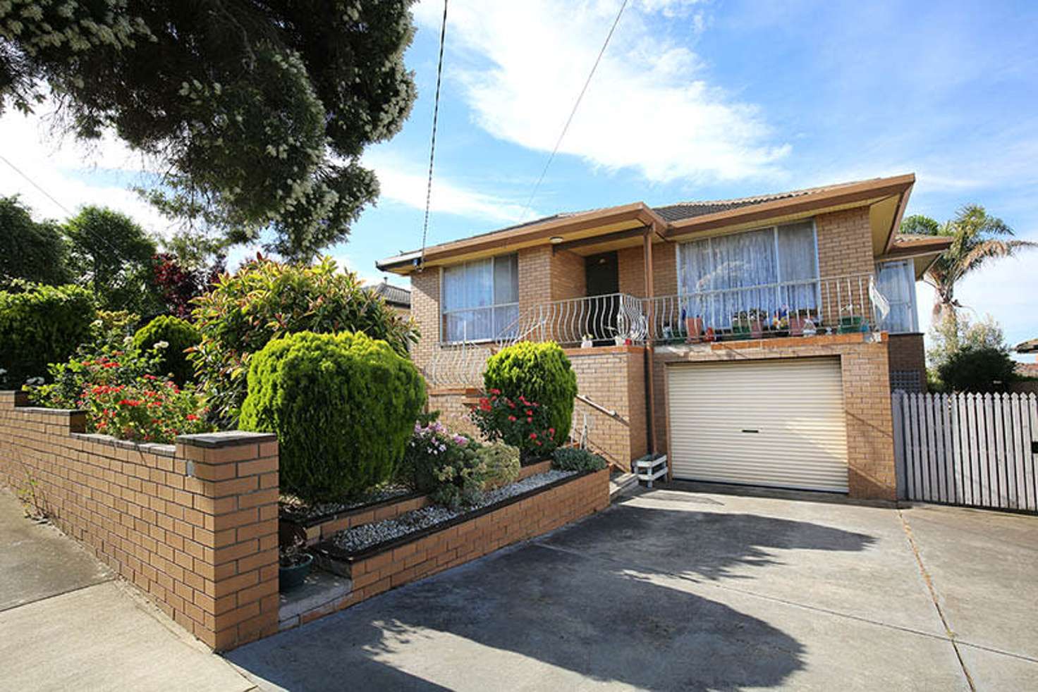 Main view of Homely house listing, 36 Darriwill Street, Bell Post Hill VIC 3215