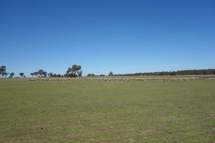 Second view of Homely cropping listing, Lot 4 Noble Road, Arthur River WA 6315