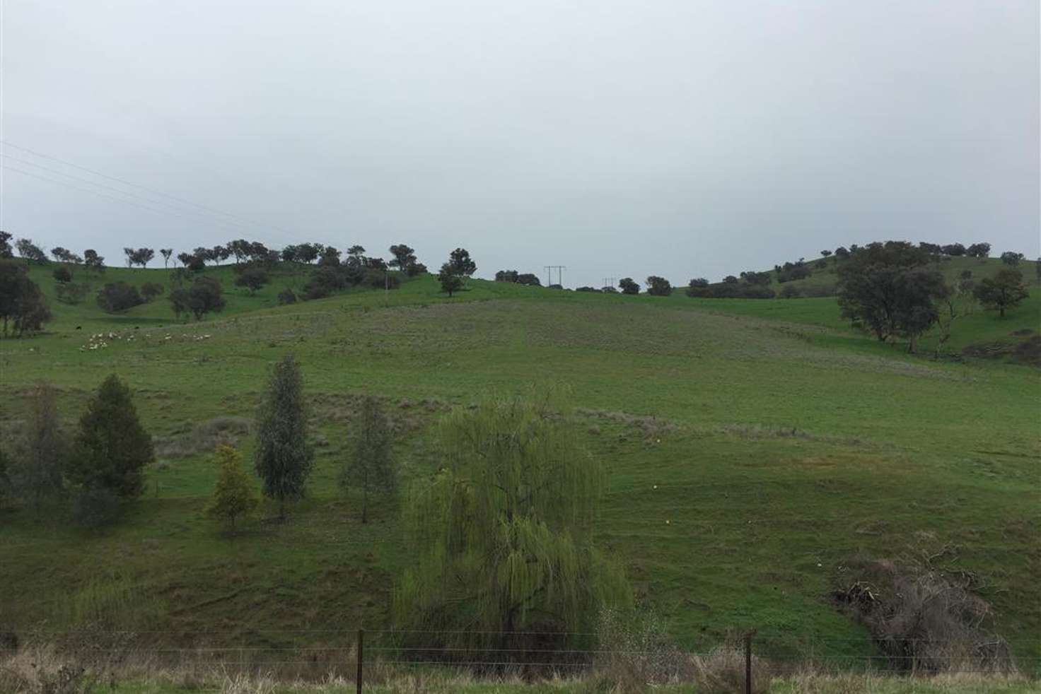 Main view of Homely residentialLand listing, 952 Sandy Creek Road, Adelong NSW 2729