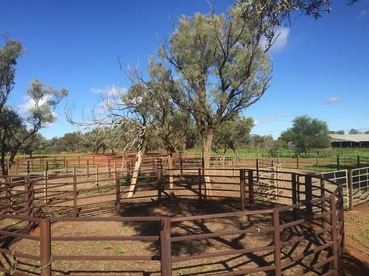 Seventh view of Homely rural property listing, * Turn Turn/Wittenburra, Eulo QLD 4491
