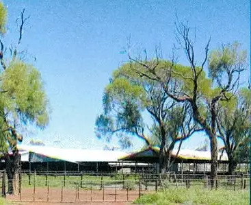 Fourth view of Homely rural property listing, * Turn Turn/Wittenburra, Eulo QLD 4491