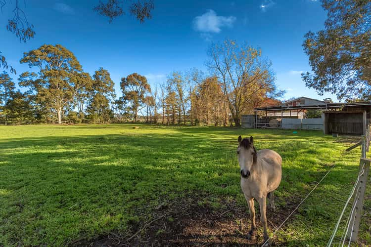 Second view of Homely acreageSemiRural listing, 125 Scanlons Drain Road, Bayles VIC 3981