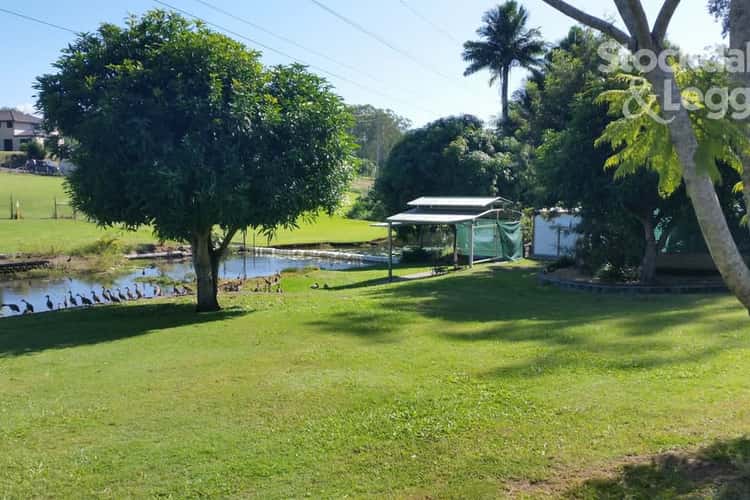 Third view of Homely house listing, 56 Strawberry Road, Beerwah QLD 4519
