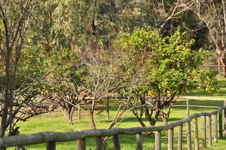 Third view of Homely acreageSemiRural listing, 1771 South Western Highway, Jarrahdale WA 6124