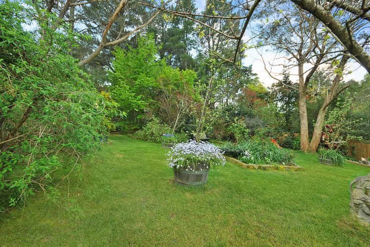 Third view of Homely house listing, 5 Geggie St, Wentworth Falls NSW 2782