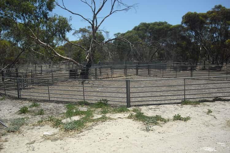 Fourth view of Homely mixedFarming listing, 678 Butler Road, Coonalpyn SA 5265