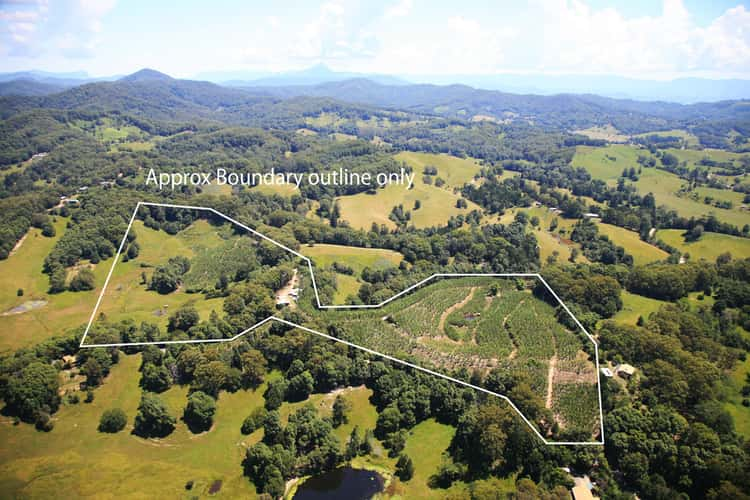 Second view of Homely acreageSemiRural listing, 1727 Reserve Creek Road, Cudgera Creek NSW 2484