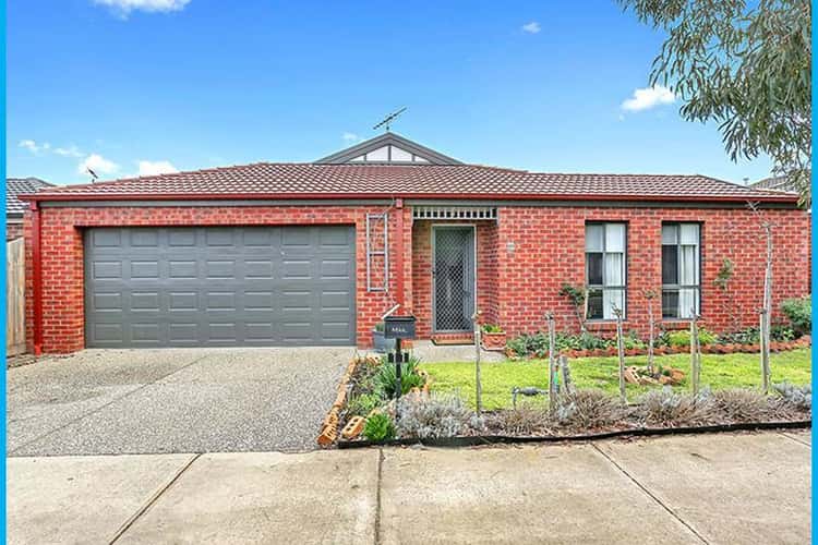 Main view of Homely house listing, 11 Farmland Lane, Leopold VIC 3224