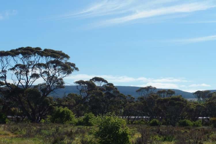 Main view of Homely residentialLand listing, Lot 901 South Coast Highway, Ravensthorpe WA 6346