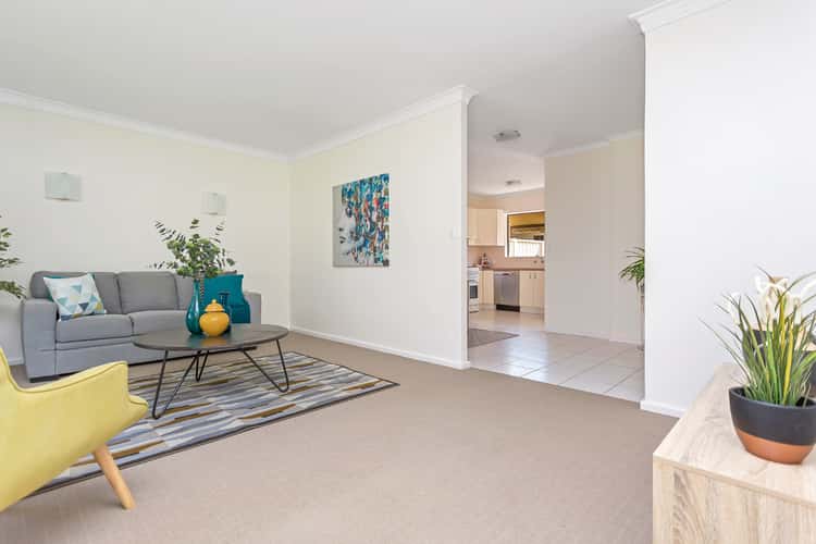 Main view of Homely house listing, 10B Ronald Terrace, Glenelg North SA 5045