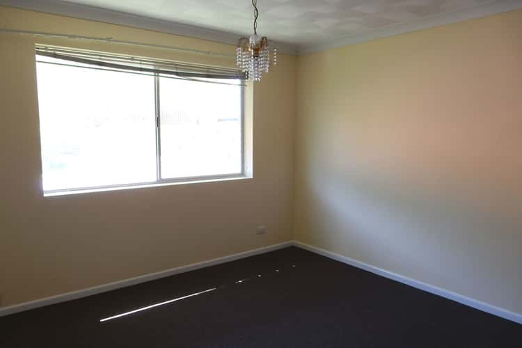 Fifth view of Homely unit listing, 2/91 Racecourse Road, Ascot QLD 4007