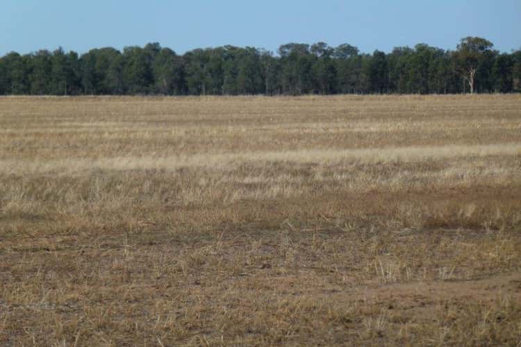 Second view of Homely cropping listing, KAKADU FOREST BLOCK, Jerilderie NSW 2716