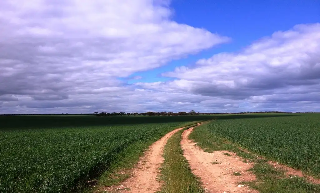 Main view of Homely rural property listing, 1184 Tarragon Tanks Road, Minnipa SA 5654