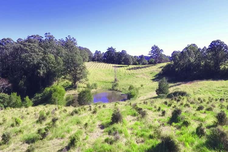 Fourth view of Homely cropping listing, 839 Blue Knob Road, Blue Knob NSW 2480