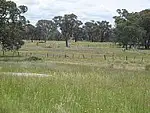 Retreat Old Bundarra Road