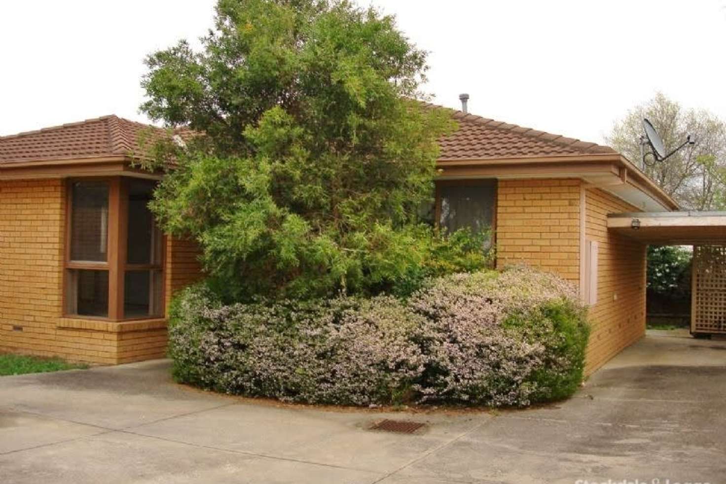 Main view of Homely unit listing, 2/10 Linden Street, Blackburn VIC 3130