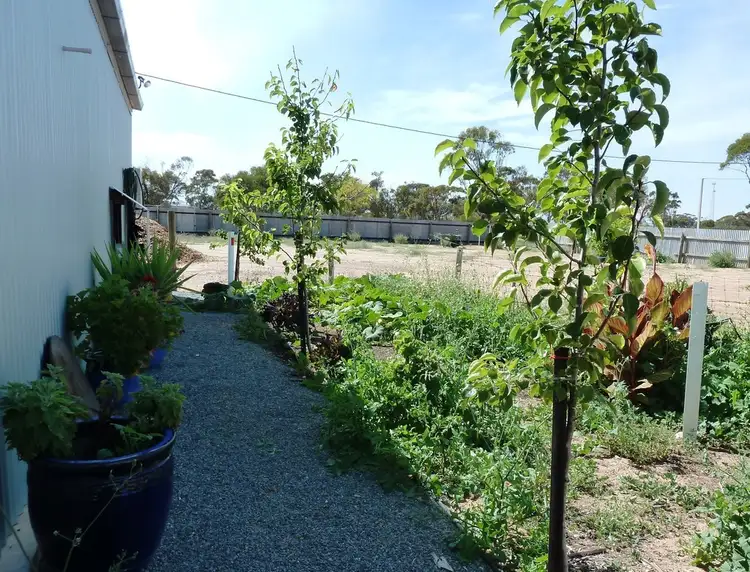 Seventh view of Homely house listing, 32 James Street, Minnipa SA 5654