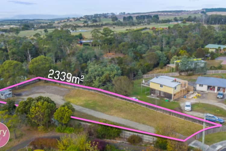 9 Bridview Place, Bridport TAS 7262