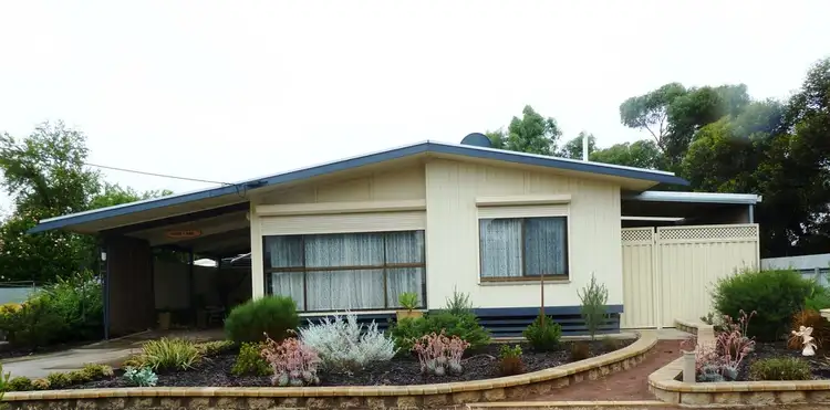 Main view of Homely house listing, 17 Thomas Street, Minnipa SA 5654