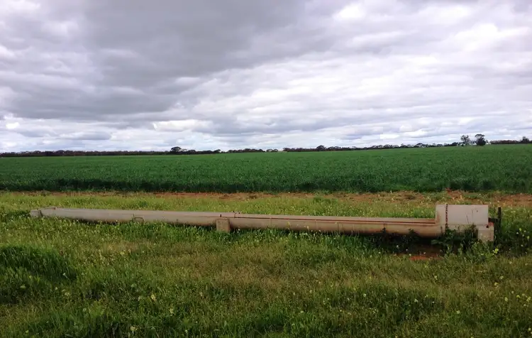 Second view of Homely rural property listing, 1184 Tarragon Tanks Road, Minnipa SA 5654