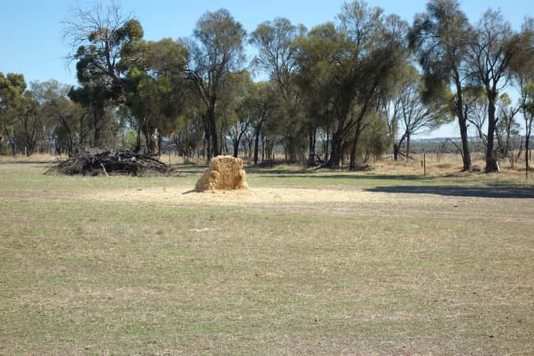 Fourth view of Homely cropping listing, Lot 4 Noble Road, Arthur River WA 6315