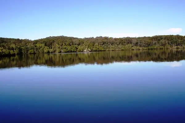 Fifth view of Homely rural property listing, Lot 5 Sec 8 Breckenridge St, The Branch NSW 2425