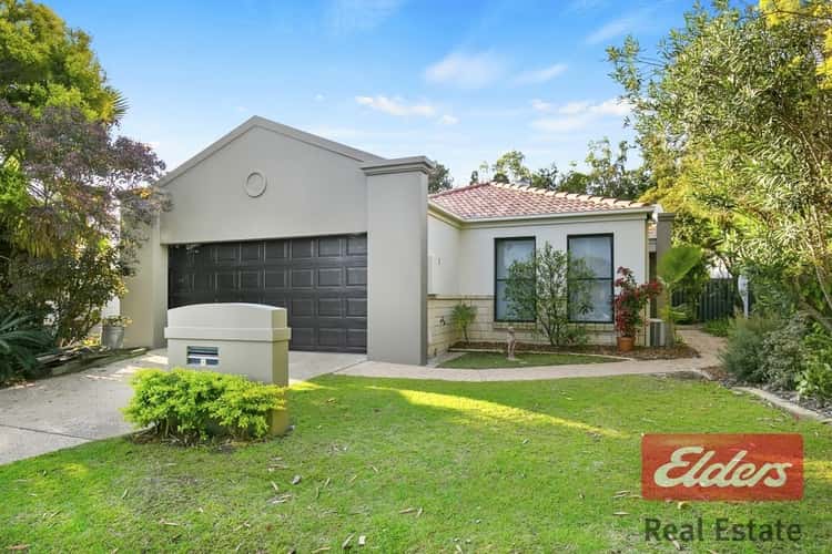 Main view of Homely house listing, 17 Blackwattle Circuit, Arundel QLD 4214