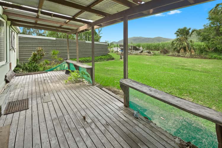 Third view of Homely house listing, 14 Plemenuk Road, Cannon Valley QLD 4800