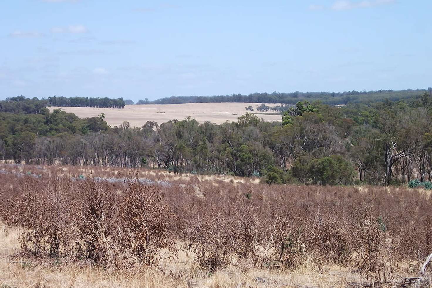 Main view of Homely lifestyle listing, Lot 8789 Jayes Road, Boyup Brook WA 6244