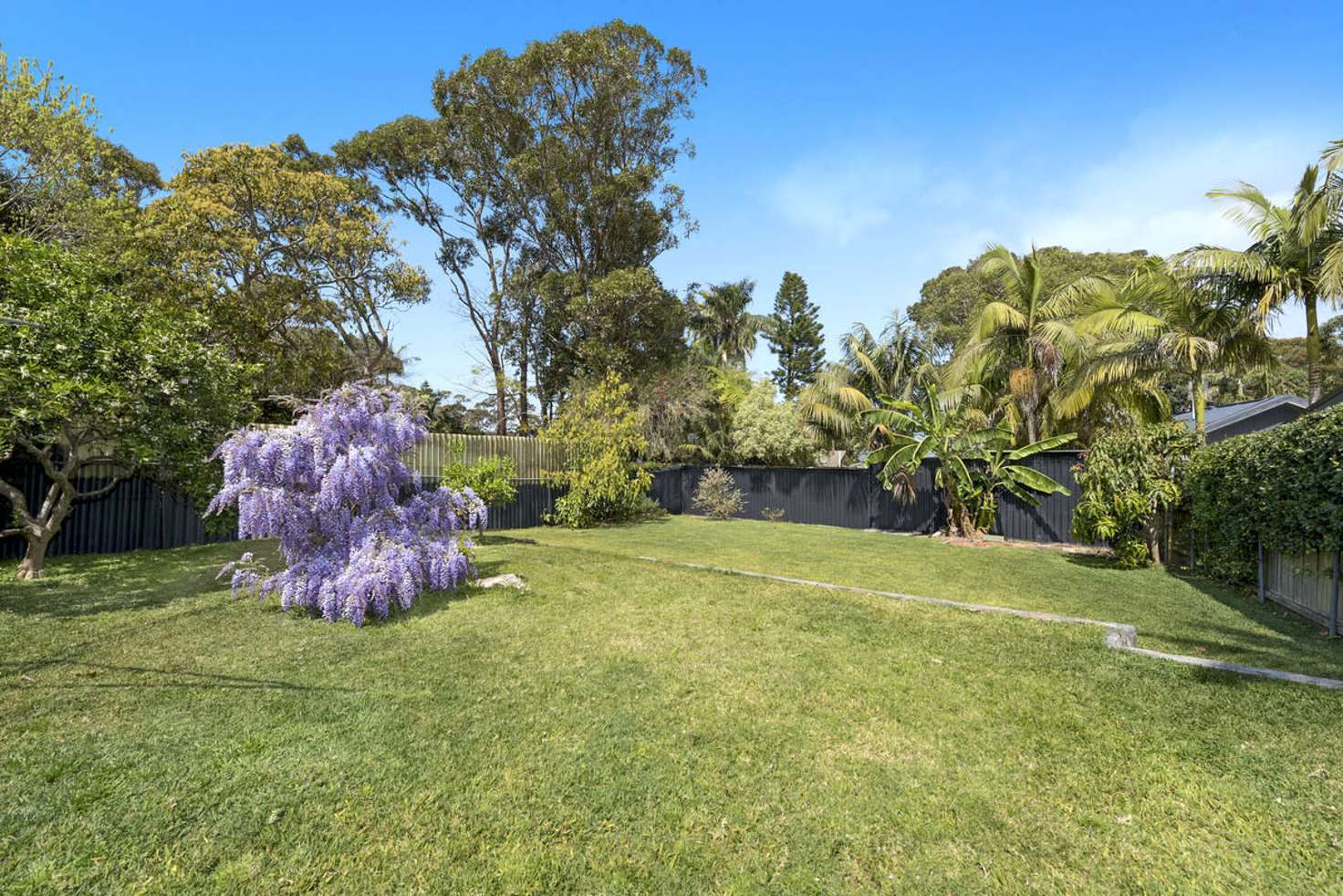 Main view of Homely house listing, 151 Plateau Road, Bilgola Plateau NSW 2107