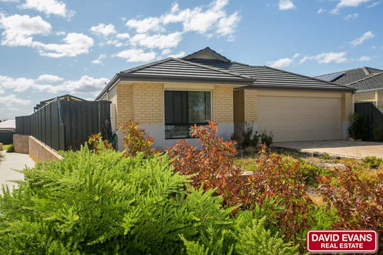 Main view of Homely house listing, 14 Bentham Turn, Banksia Grove WA 6031