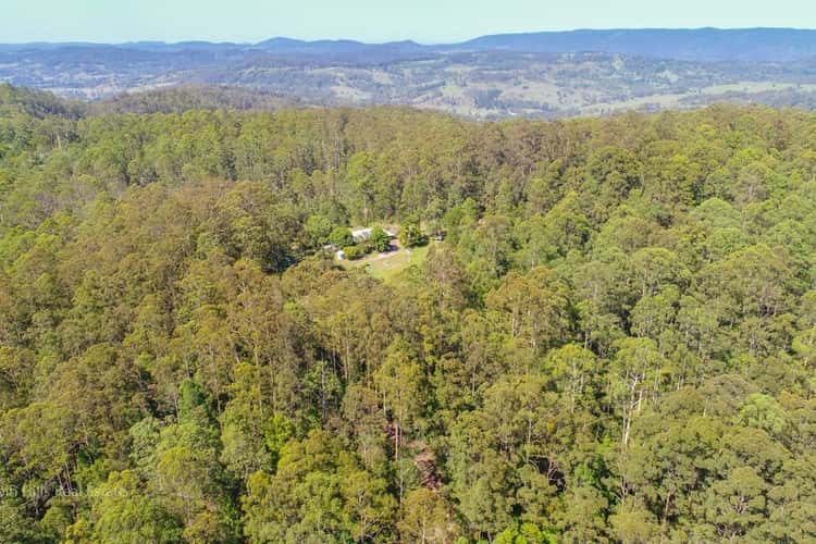 Third view of Homely horticulture listing, 483 Davis Road, Nimbin NSW 2480