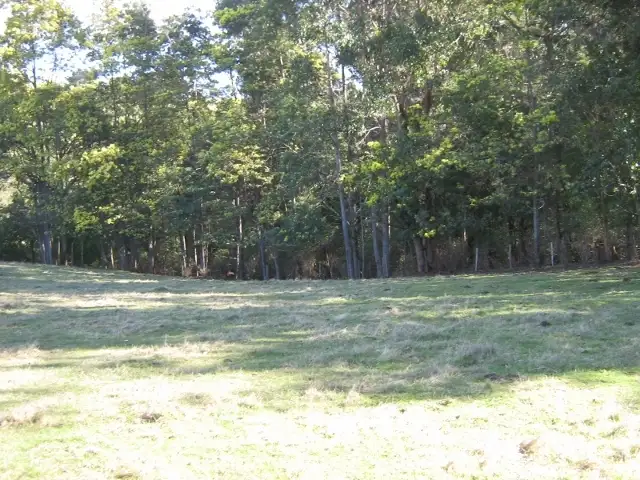 Second view of Homely land listing, 338 Stubbs Road, Forth TAS 7310