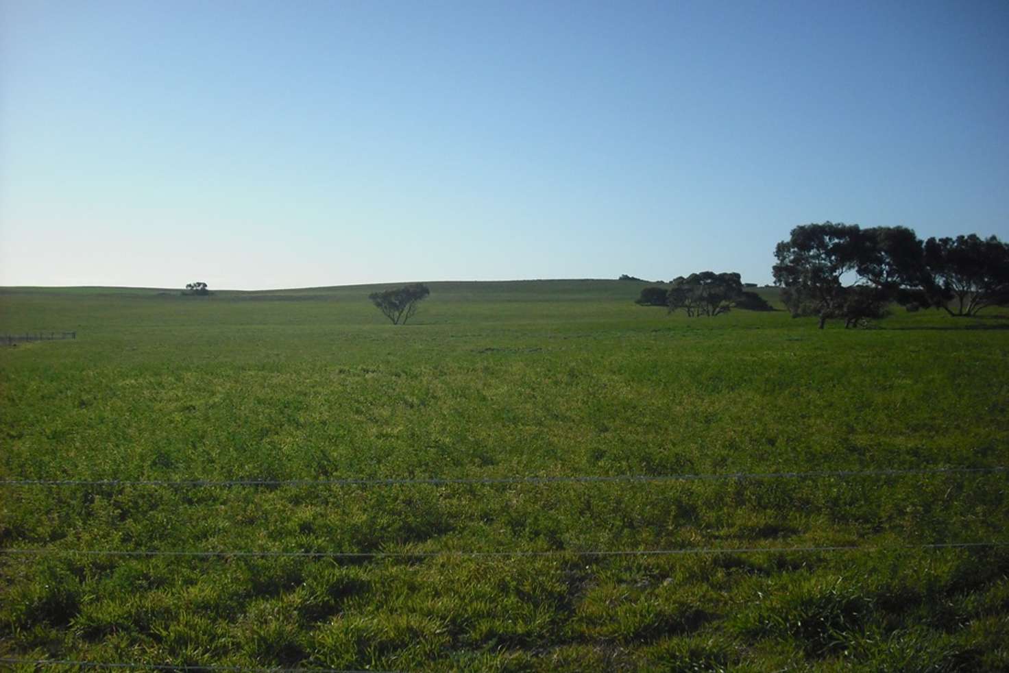 Main view of Homely mixedFarming listing, 678 Butler Road, Coonalpyn SA 5265