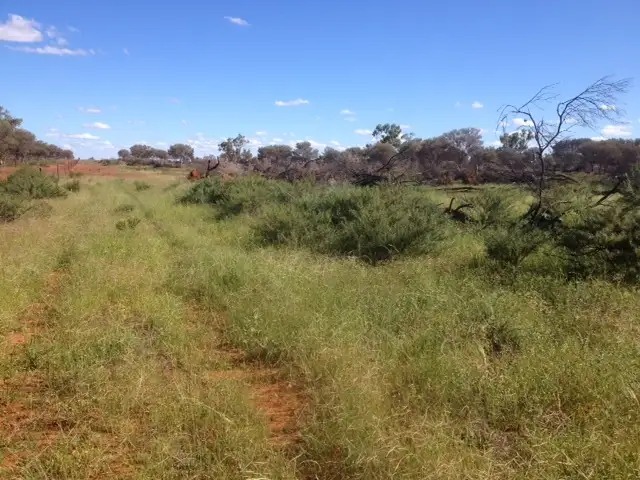 '' PENAROO", Eulo QLD 4491