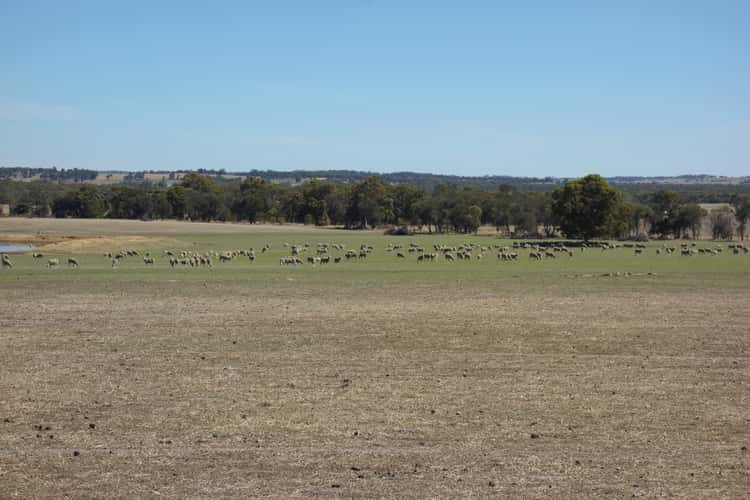 Seventh view of Homely cropping listing, Lot 4 Noble Road, Arthur River WA 6315