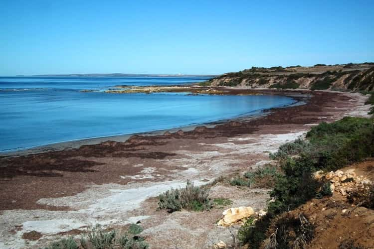 Main view of Homely ruralOther listing, Allotment 100 Hundred of Dixson, Arno Bay SA 5603