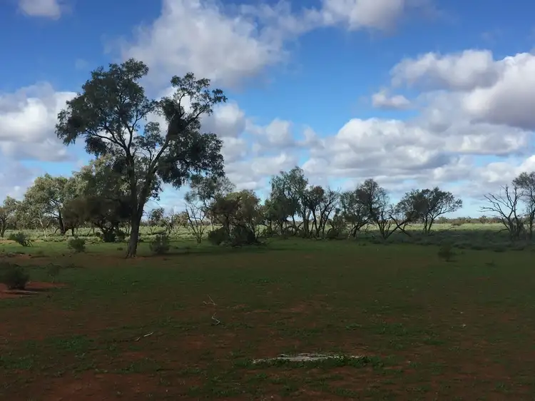 Fifth view of Homely rural property listing, * Turn Turn/Wittenburra, Eulo QLD 4491