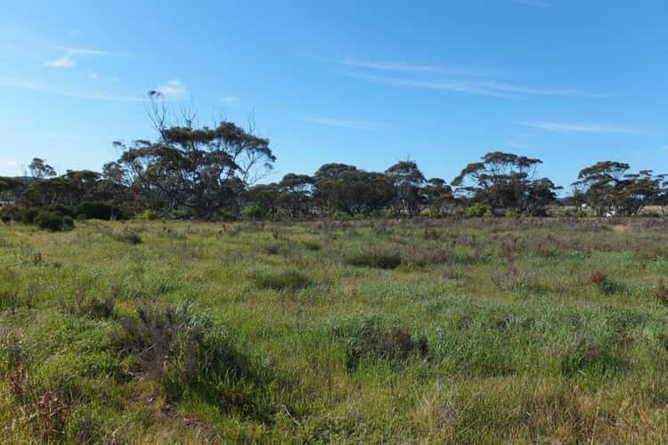 Fifth view of Homely residentialLand listing, Lot 901 South Coast Highway, Ravensthorpe WA 6346