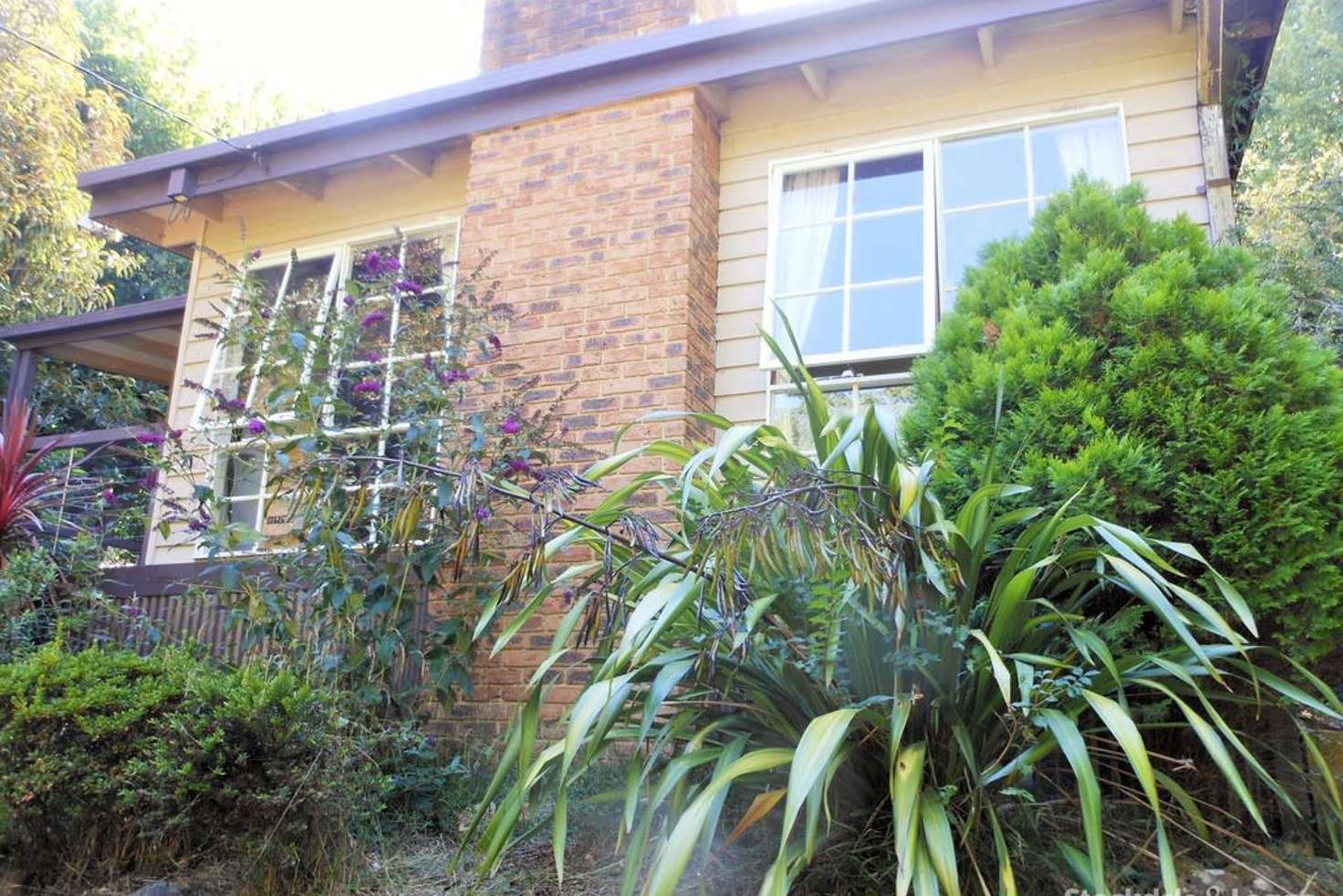 Main view of Homely house listing, 5 Stanley Street, Olinda VIC 3788